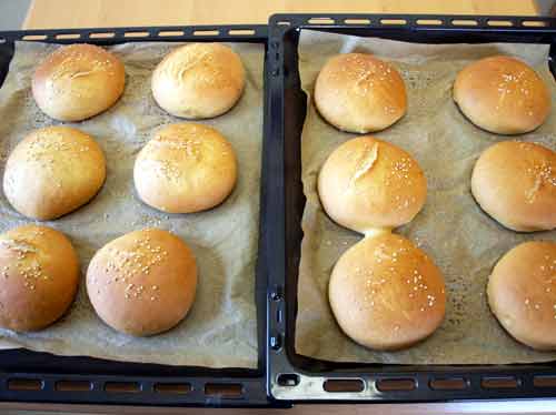 Gebackene Burgerbrötchen