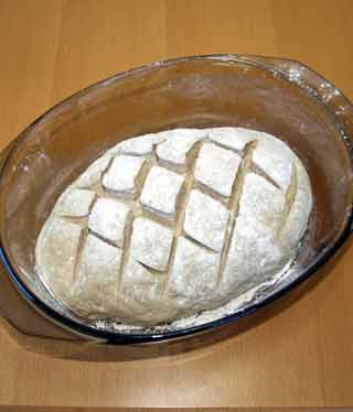 Krustenbrot