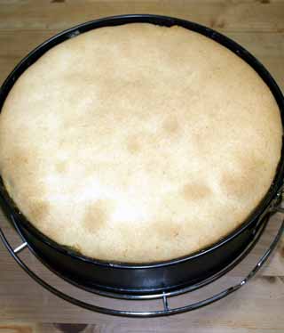 Gebackener Apfelkuchen