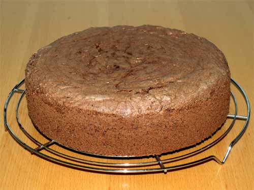 Schwarzwälder Kirschtorte Schokoladen-Biskuit